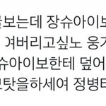 글삭당해서<b>재업</b>) 차웅기 부모님 욕하는 장슈아이보팬