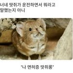 [드루와] 이 남자애 <b>mbti</b> 뭘까.. 맞춰줘