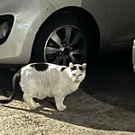 [드루와] <b>헤이</b> 거기 너 노래 추천 해주라