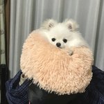[드루와] 나는 공부안하는 <b>가오</b>충애들