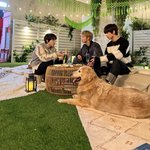 [NCT드림] 잼천지 엔시티 홈 갔던 날 목격담 올라왔다