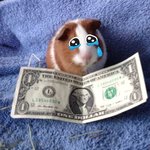 <b>누누</b> 보는 애들 이해 못하겟더라...