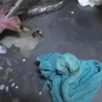 마라탕·중국집 위생상태에 <b>단속</b>반은 혀를 내둘렀다