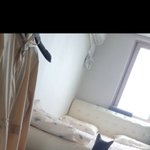 [귀여운<b>동물</b>] 우리집 망고보고 힐링해