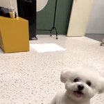 [NCT드림] 아 나 지금 민경훈 <b>비명</b>짤임 ;;;