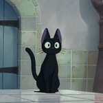 여름 <b>미화</b>되는 거 개열받음