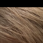 아니 김태래도 <b>쌍테</b> 붙이는구나ㅋㅋㅋㅋㅋ