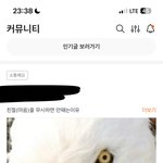 너네 콴다 커뮤니티 들어가봣냐