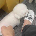 [NCT드림] 슬리퍼에 <b>낙서</b>한건가