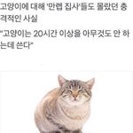 [댓글부탁해] 소녀의 세계 시즌1이 훨 <b>재밋</b>지않냐