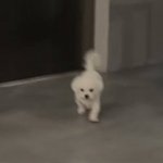 [NCT드림] <b>대가리</b>는 보면 볼수록