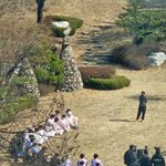 보플 <b>생존자</b> 28명 목격담?떴는데