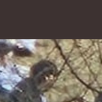 얘 <b>유승언</b> 같지않아?