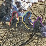 세마넴 <b>실루엣</b>만 보면