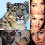 [드루와] <b>백인</b>들 눈동자색은 ㄹㅇ 메리트 쩔지 않냐