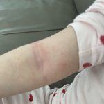 제발 꼭좀 읽어주세요!!