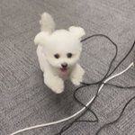 [NCT드림] 내일 <b>기점</b>으로