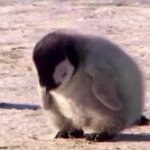 [댓글부탁해] 기분이 <b>태도</b>가 되지 않는 방법