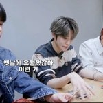 [도재정] <b>캐해</b> 맏형 중간 막내