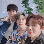 [도재정] <b>미남들</b>