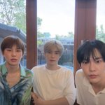 [도재정] 고객센터 1:1신고팁