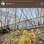 [방탄소년단] 우리 봄 <b>알리미</b>