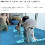 [드루와] 프차 <b>빵집</b>중에