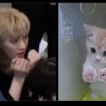 리키 고양이 같아 ㅋㅋㅋㅋ