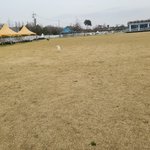 침뱉는게 화날일인가요?