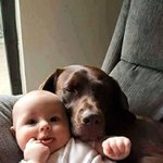 이거 보고 맘이 <b>따땃</b>해지지 않으면 유죄