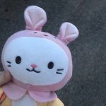 다이소 신상 인형 개귀<b>엽당</b>.. ㅎㅎ