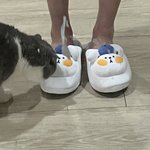 <b>실내</b>화 귀엽지 ㅋ