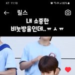 [스키즈] 댕댕이의 서듕한