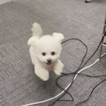나 <b>쌍수</b> 잘되지 않았니 ㅋㅋㅋㅋ