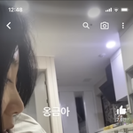 난 이런 고양이가 좋아