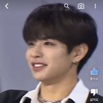 보플 얼굴만 보면