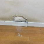 빌라 벽 <b>보수</b> 관련 질문