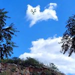 [19] <b>전재준</b> 진짜 ㅈㄴ섹시하다