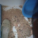 음식물 분쇄기 역류로 온집안이 쑥대밭이 되었어요