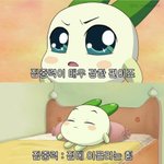 집이 <b>체고</b>다