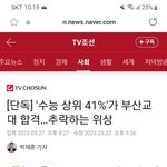 수능 <b>상위</b> 41%도 교대 붙었대