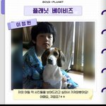 <b>베이비</b> 이정현 좋아요 1등 내가먹음