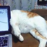 진짜우리외할머니남아선호<b>사상</b>ㅈ됨