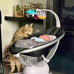 베테랑 베이비<b>시터</b>가 여기 있네