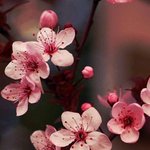 <b>이맘때쯤</b> 보이는 풍경