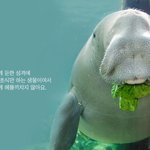 [드루와] 이제막 화장 <b>시작</b>하는 동생들 개부럽다..