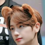 [엔터톡] 애칭이 '곰'인 아이돌 모음.<b>zip</b>