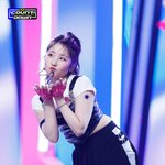 라필루스 엠카 현장포토