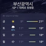 [19] 월요일에 벚꽃 보러 가는데 이거 망한 거임?..