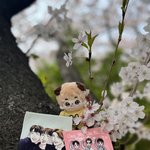[도재정] 도재정 티코스터 <b>특전</b> 실물..